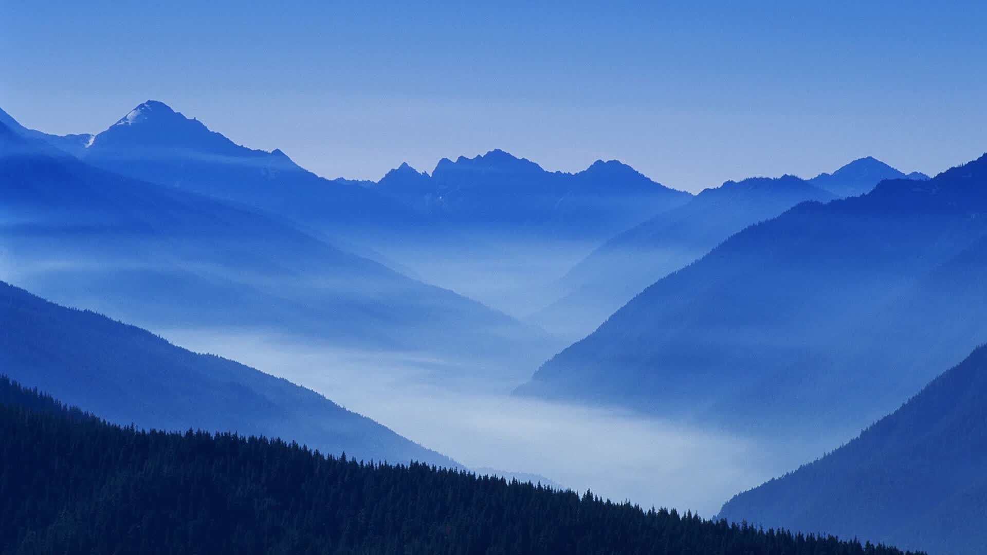 世界体能恢复科研样本库数据共享协议签署,世界体能大赛