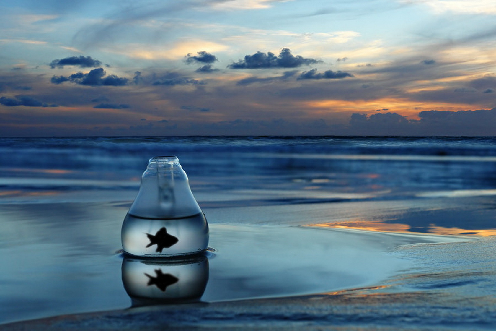 世界帆船创新技术展:新能源推进系统成亮点,帆船项目有哪些